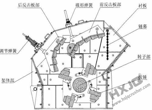 anatomical-map